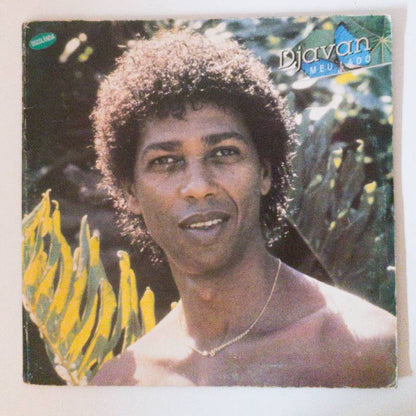 Djavan — Meu Lado (LP Vinyl Record, used)