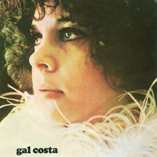 Gal Costa ビニールレコード